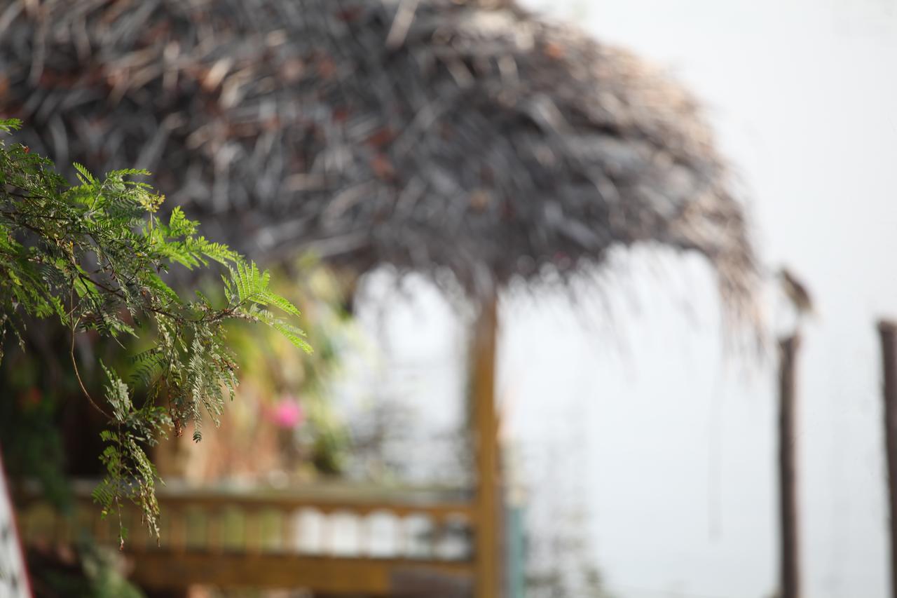 Malayalam Lake Resort Alappuzha Ngoại thất bức ảnh